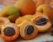 apricots-g2acdf65a3_1280